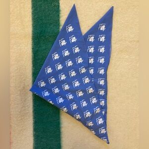 Rabbit ice bandana